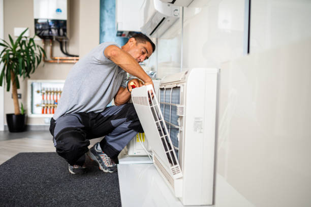 Best Air Duct Sanitizing Services  in Wytheville, VA